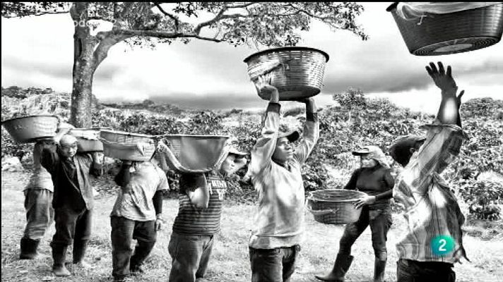 Para todos La 2 - Vídeo - El café