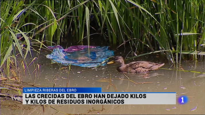 Informativo Telerioja - Informativo Telerioja 2 - 23/06/15