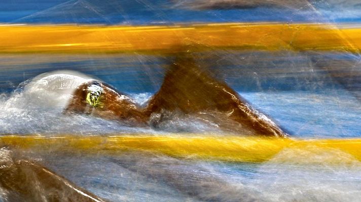  - El nadador Marcos Rodríguez conquista la plata en los 800 libres