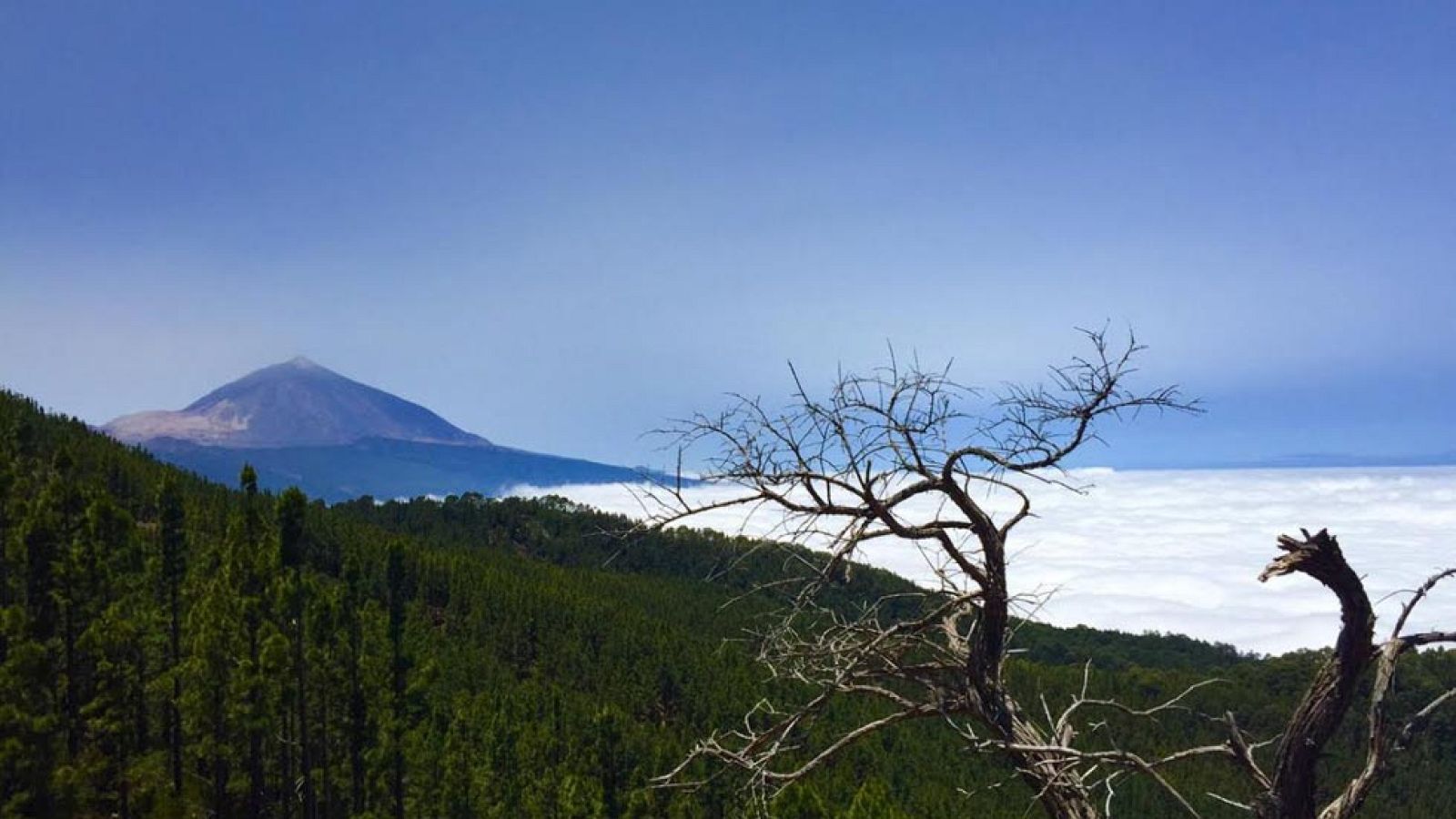 El cielo de Tenerife os va a hechizar