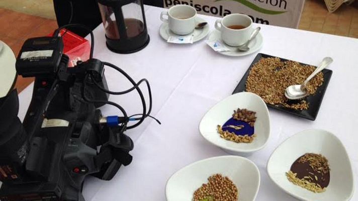 Aquí la Tierra - Tisana del Papa Luna, fuente de salud