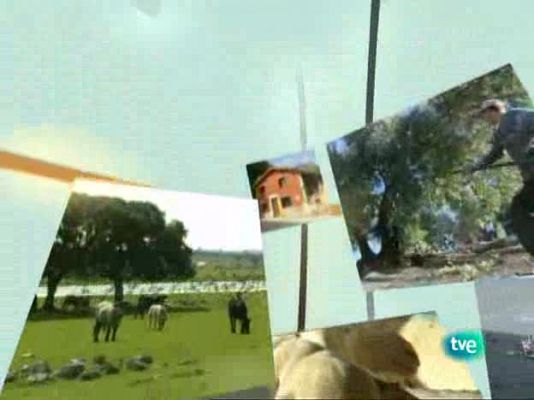 Agrosfera - Agrosfera - 18/10/08