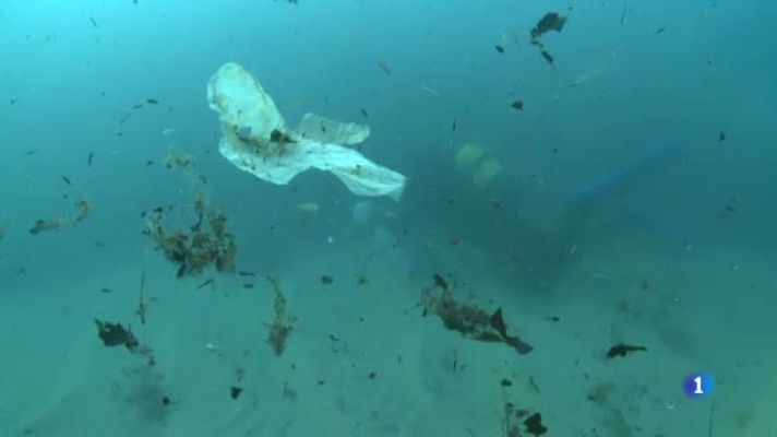 L'Informatiu - El mal estat de la mar Mediterrània