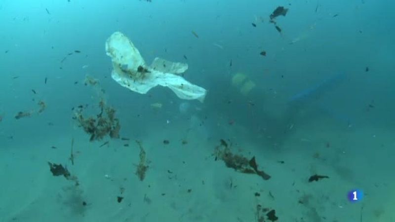 El mal estat de la mar Mediterrània