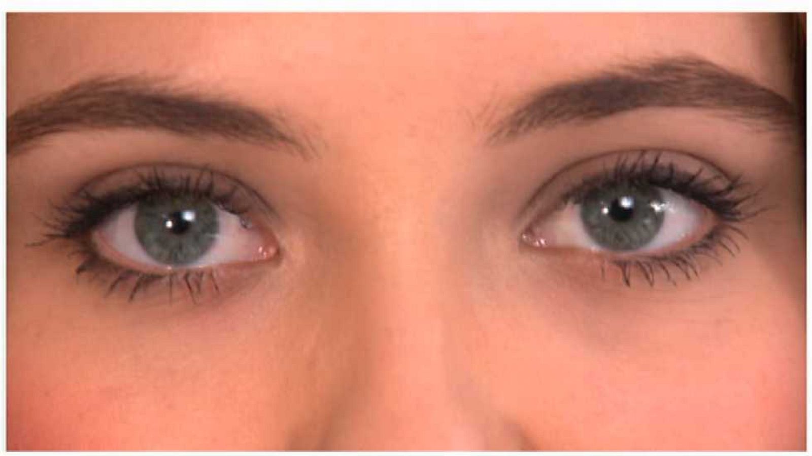 Brain Games - Sigue al líder - Ver ahora