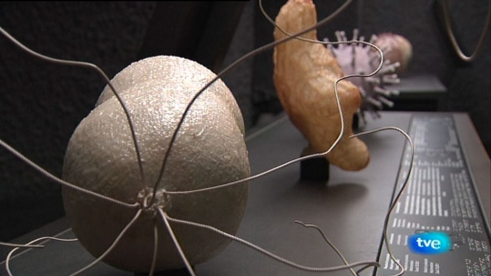 La Aventura del Saber. Ricardo Guerrero. Microbiólogo