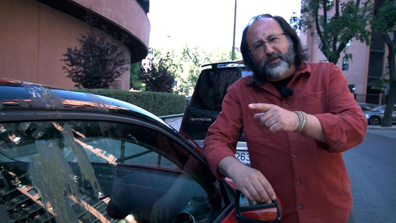 Luis Miguel Domínguez nos habla de las palomas torcaces