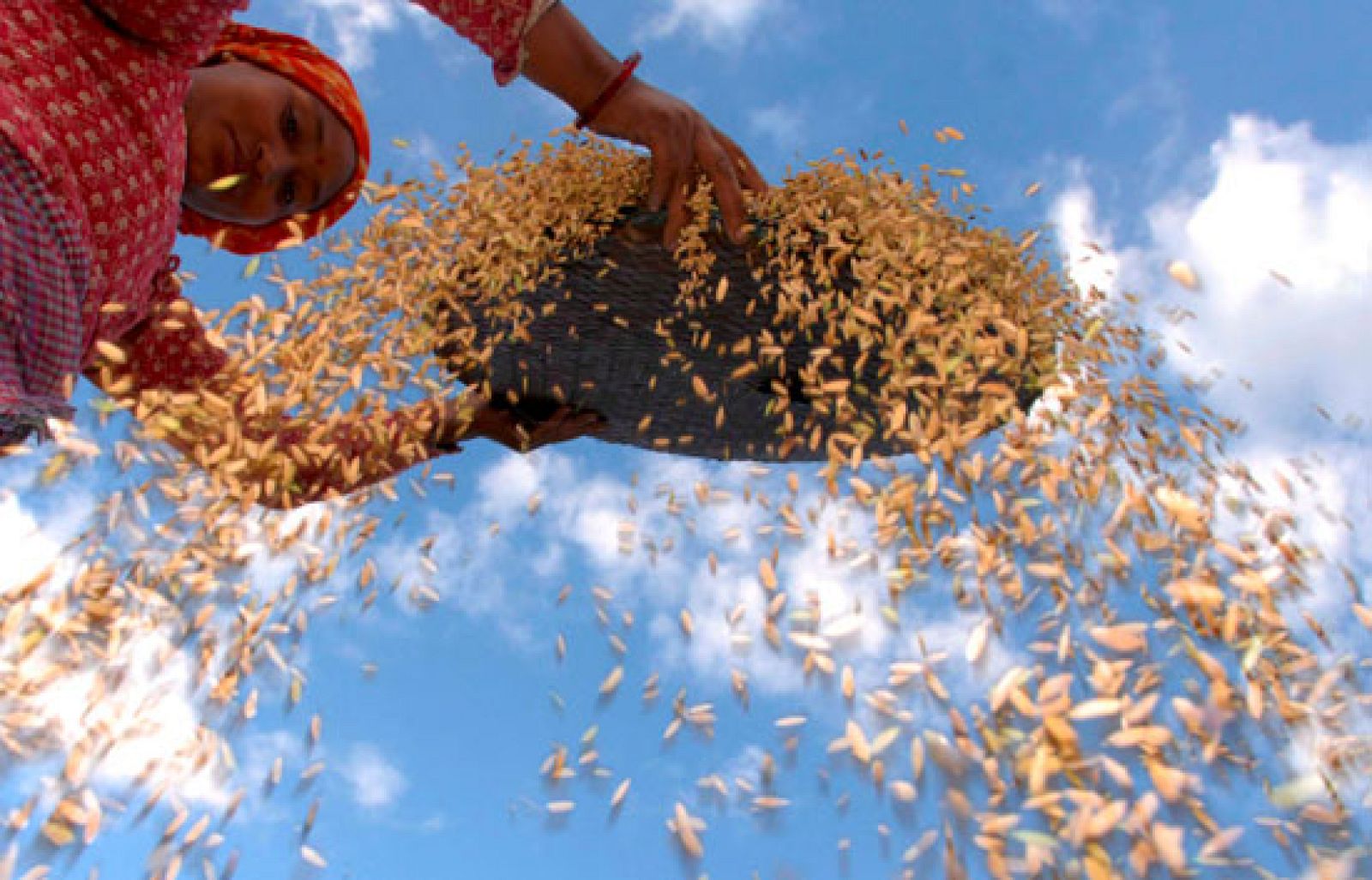 Informe semanal - Jardín del Edén congelado | Ver