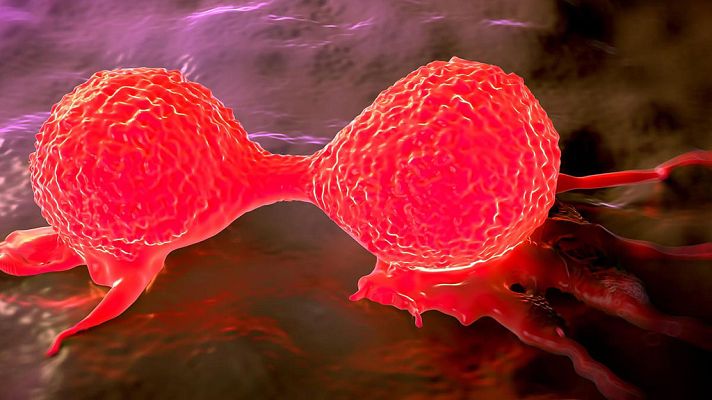 Telediario 1 - Llega a España una quimioterapia para el cáncer de mama que trata el interior de la célula