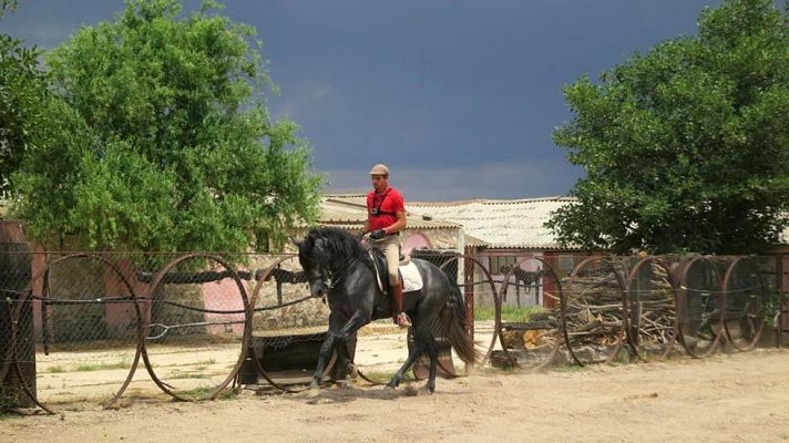 Aquí la Tierra - ¿En qué consiste la doma natural?