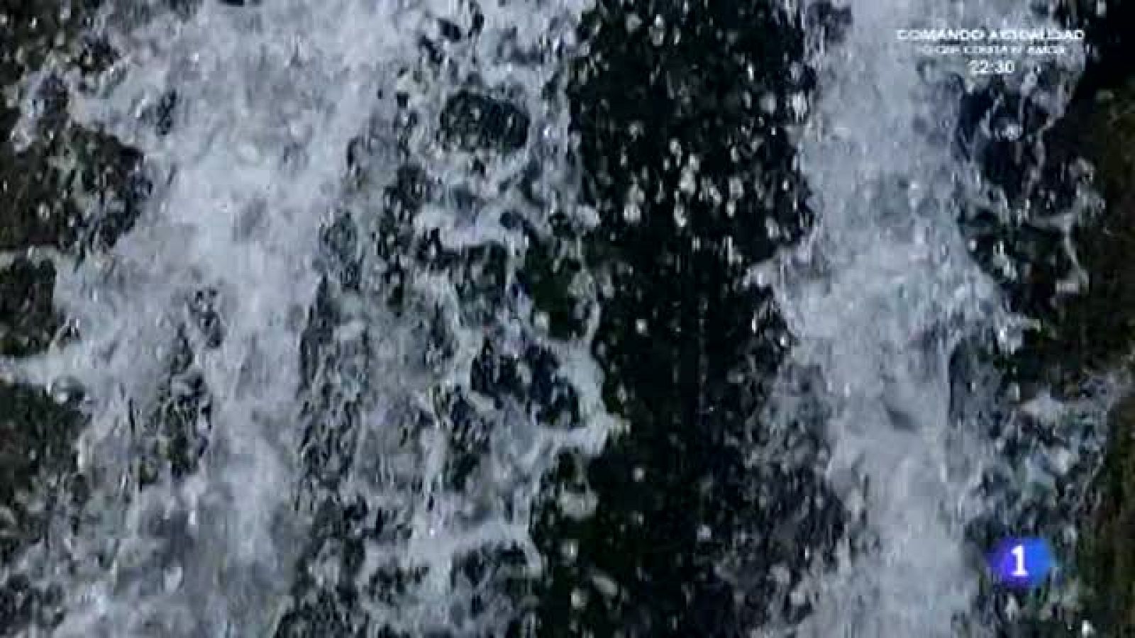 Comerse un rosco ¡de aguardiente!