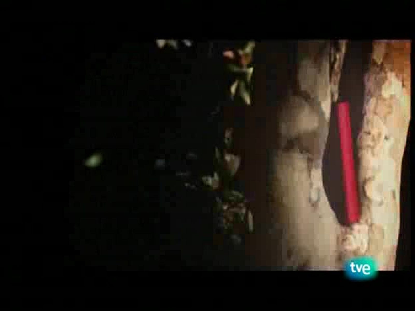 Página 2 - 19/10/08 - Página Dos | Ver