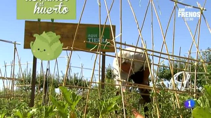 Aquí la Tierra - Inauguramos el huerto de 'Aquí la Tierra'