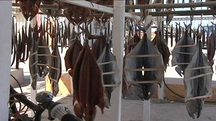 España en comunidad - España en Comunidad - 04/07/15