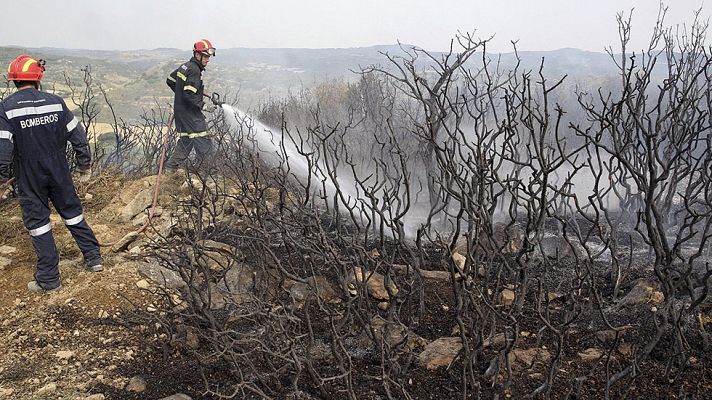 Informativo 24h - Estabilizado el incendio de las Cinco Villas, en Zaragoza, que ha arrasado 13.500 hectáreas
