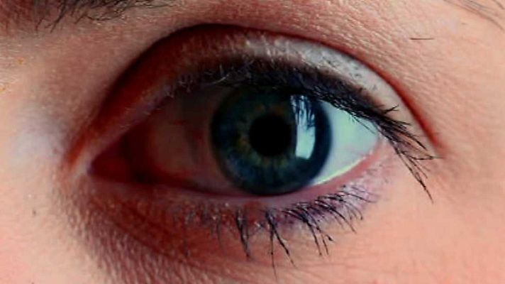 Brain Games - No tenga miedo