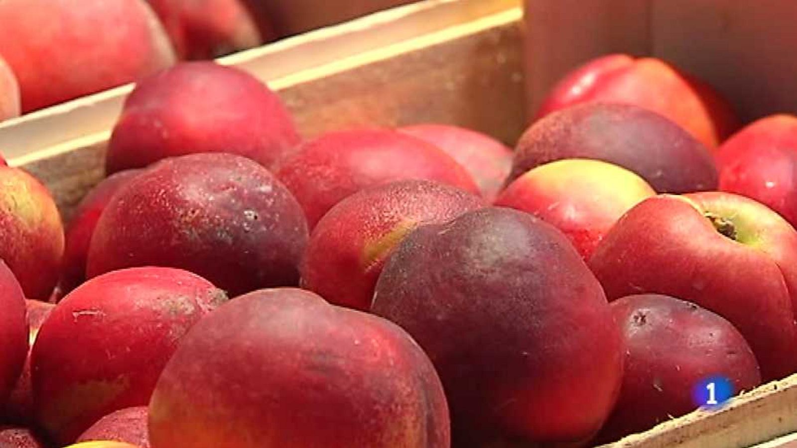 La Comunidad Valenciana en 2' - 07/07/15 - Ver ahora