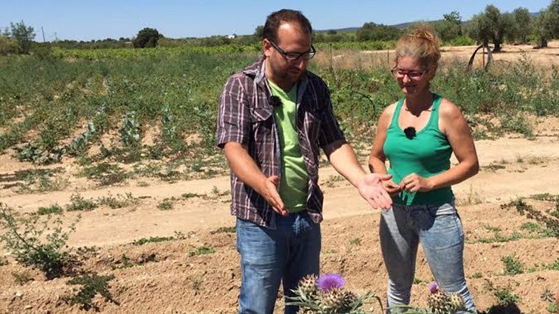 Aquí la Tierra- Frutas y verduras crían flores