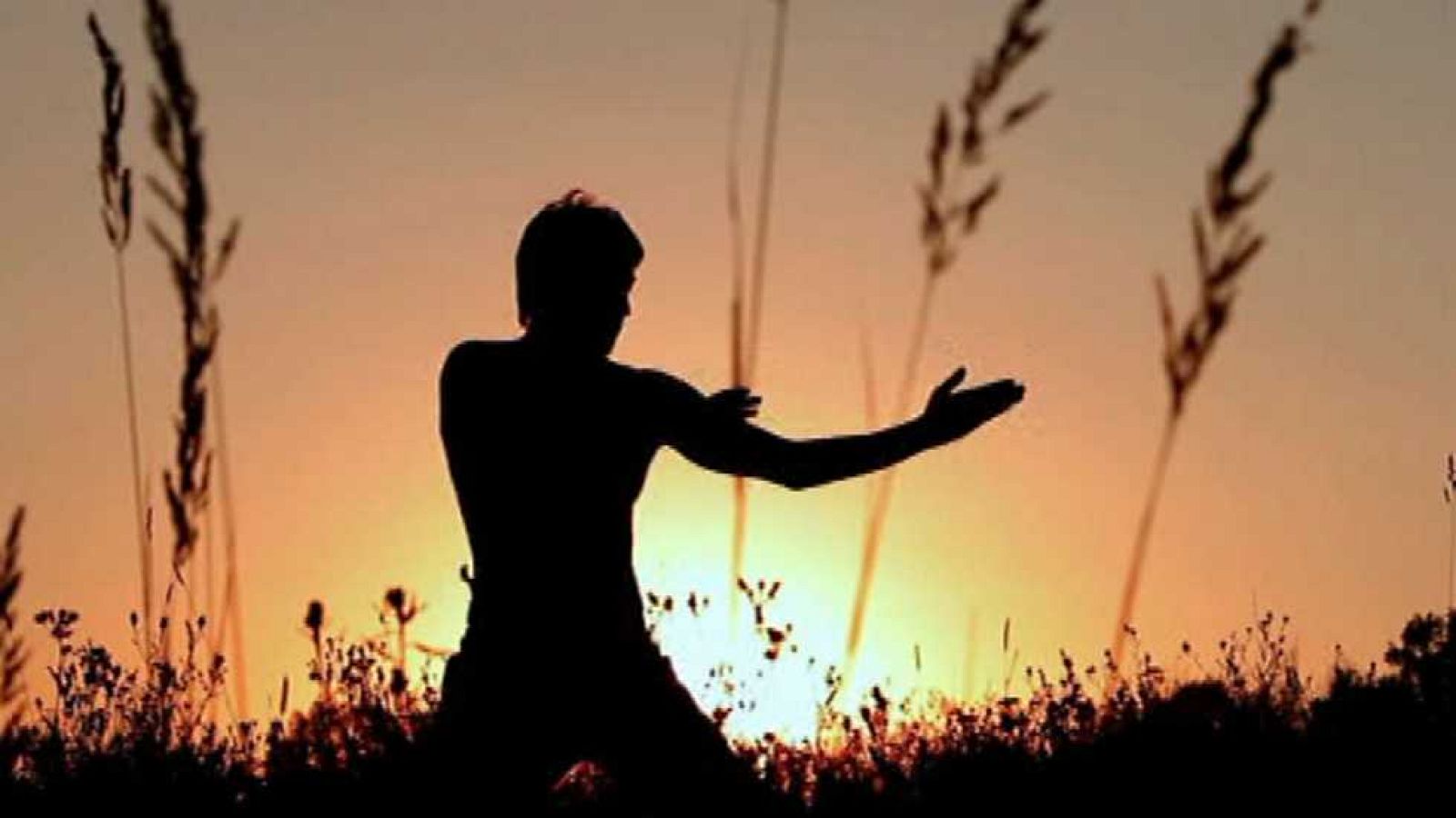 Brain Games - Si no lo usa, lo perderá - Ver ahora