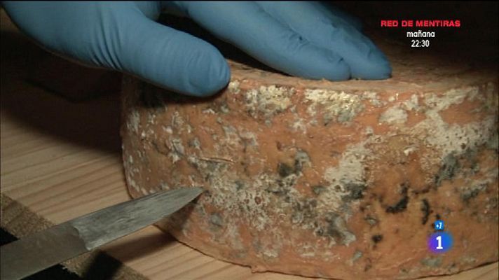 Comando Actualidad - Asiegu: la ruta del queso de Cabrales