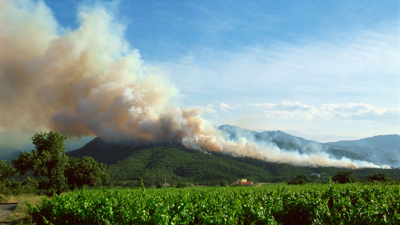 Incendios en verano -  La Sierra de Lújar en llamas