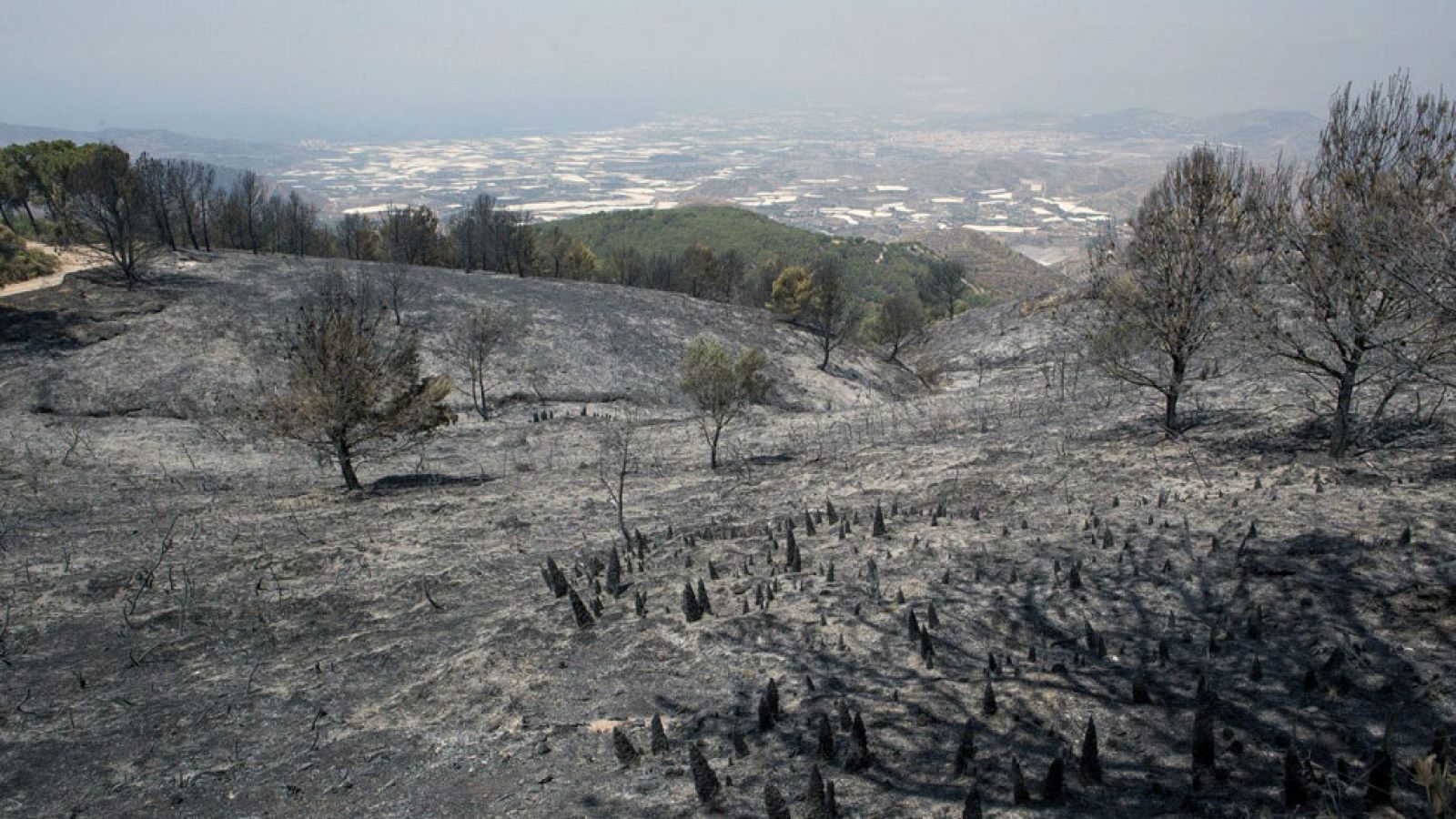 Vuelven a sus casas todos los vecinos evacuados por el incendio de Granada, que sigue activo | Ver