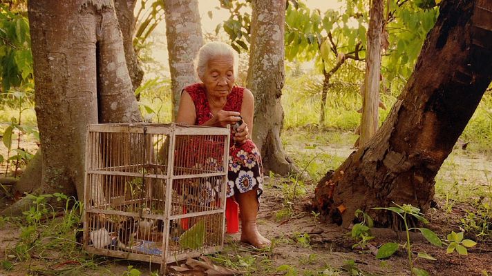 Días de cine - 'La mirada del Silencio'