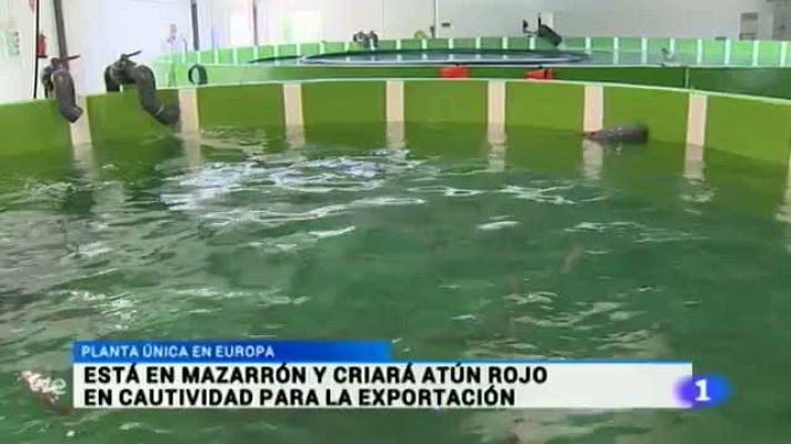 Noticias Murcia - Noticias Murcia - 10/07/2015