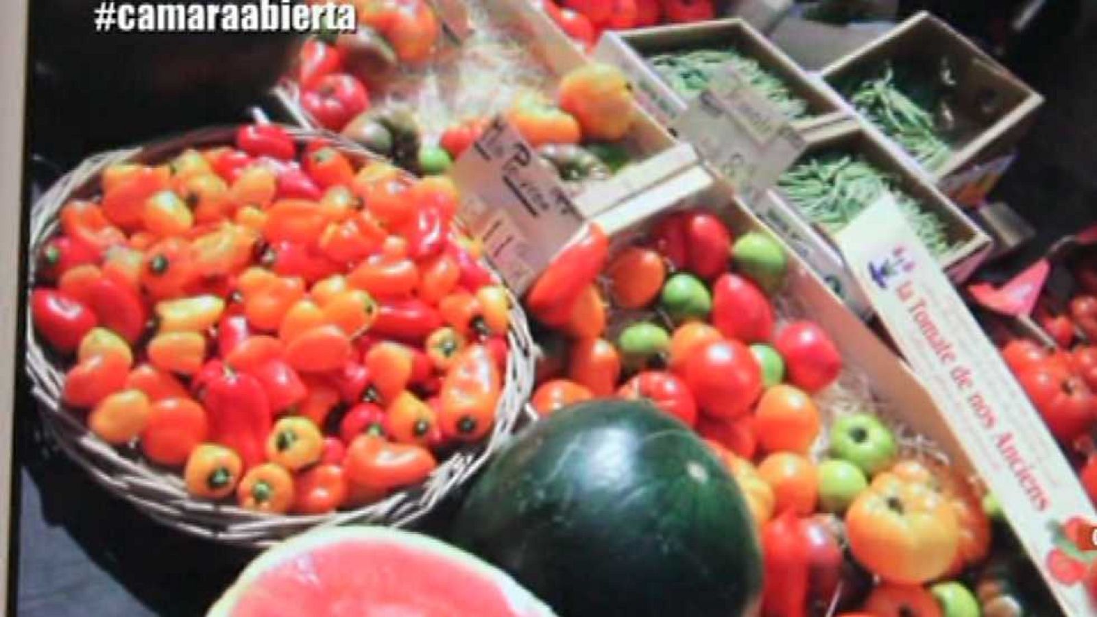 Cámara abierta 2.0 - Vente Privee, In out filmmakers y Sara Fratini  - 11/07/15 - ver ahora