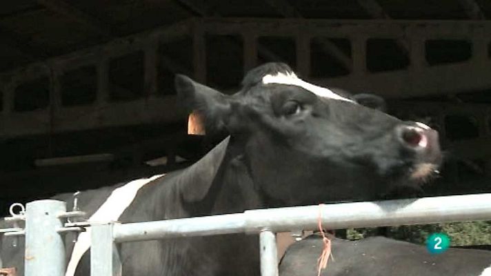 Agrosfera - Agrosfera - 11/07/15