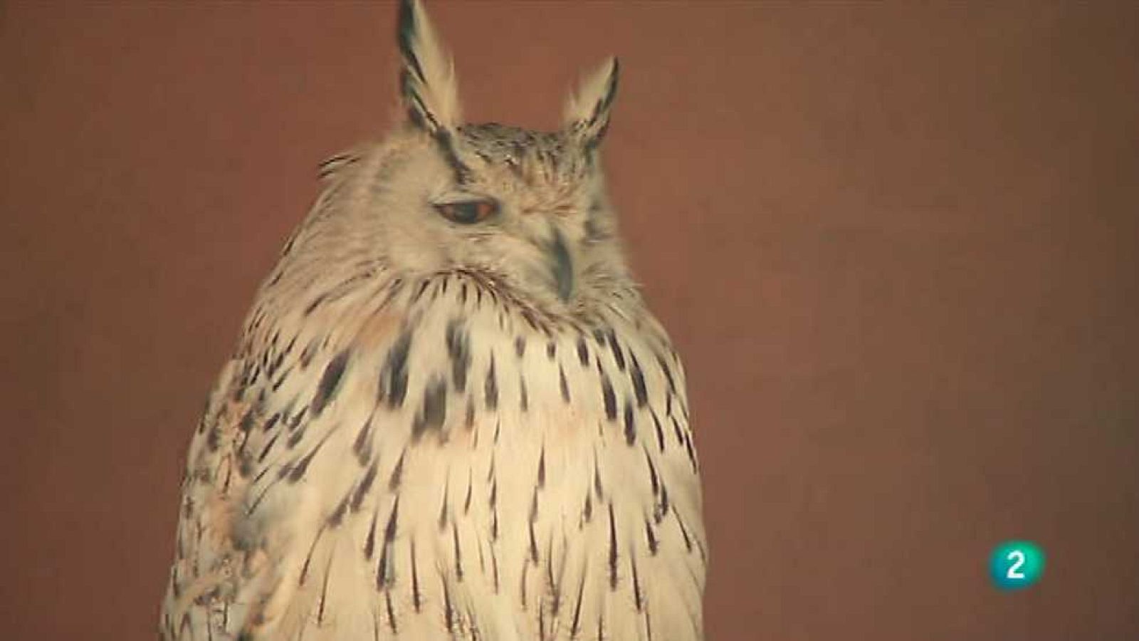 España en Comunidad - 11/07/15 - Ver ahora