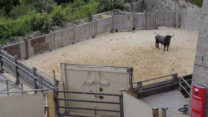 Telediario 1 - Uno de los toros del encierro ha regresado a los corrales
