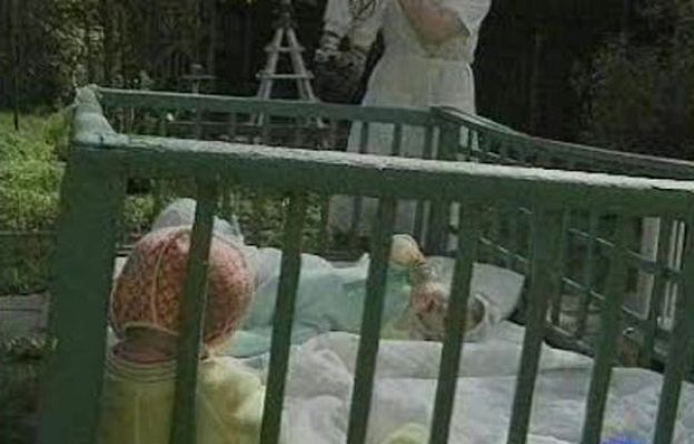  - Adopciones paralizadas