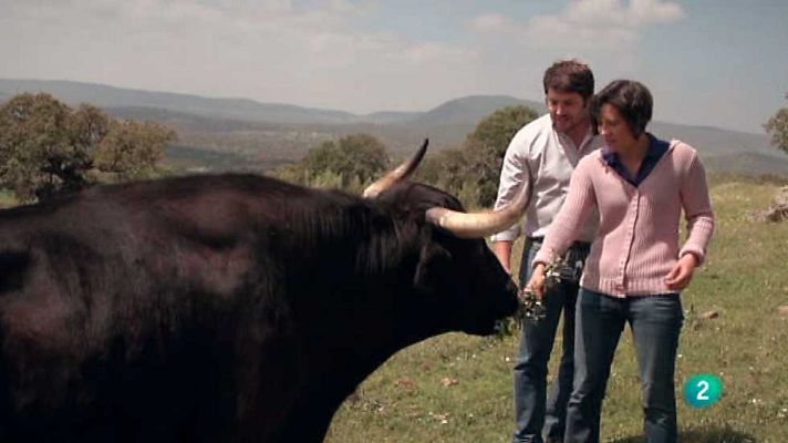 Con mis ojos - Extremadura