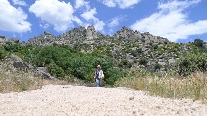 Aquí la Tierra - Juan Plantas nos descubre más curiosidades de nuestra fauna