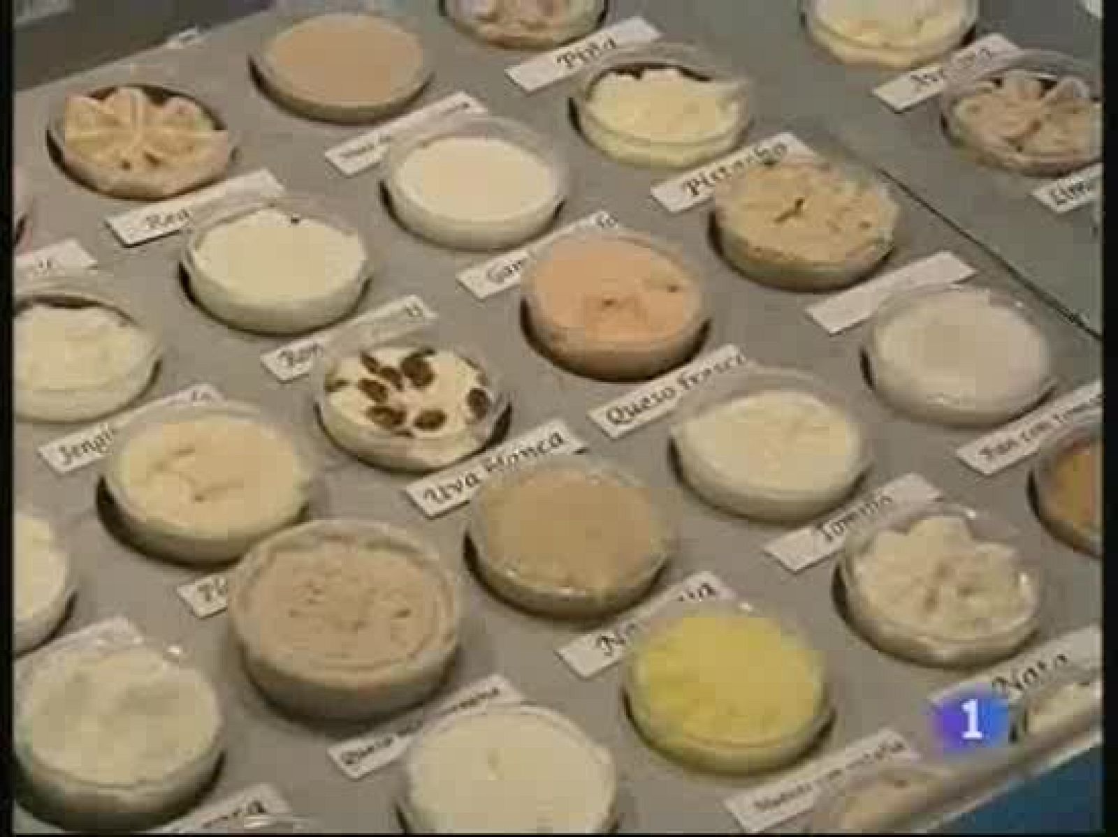 Originales propuestas en el Salón Gastronómico de Vigo | Ver