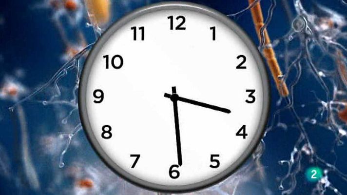 Brain Games - Hablemos del tiempo