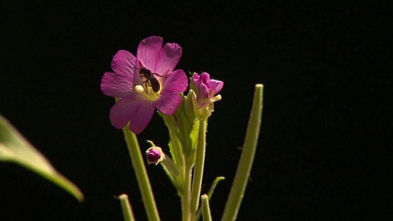 El Tiempo en la Comunidad de Madrid - 15/07/15