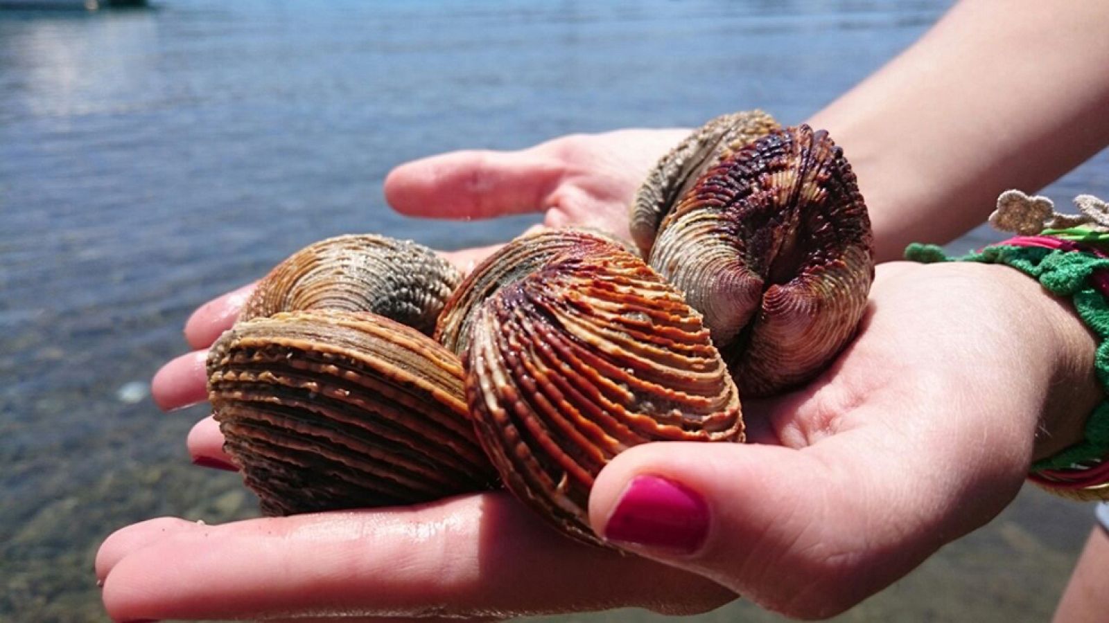 Escupiñas, un manjar muy menorquín