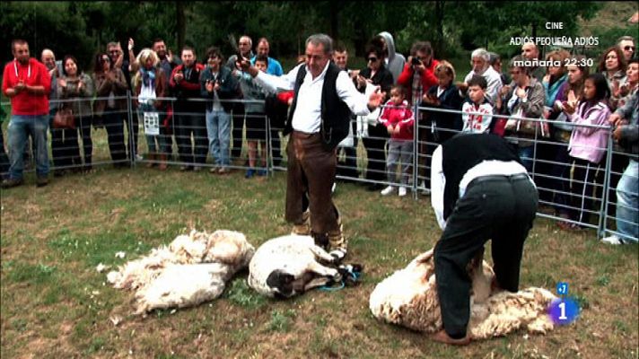 Comando Actualidad - Brieva de Cameros, La Rioja