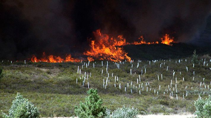 Telediario 1 - Estabilizado el fuego en Quintana del Castillo (León), que ha quemado más de 2.000 hectáreas