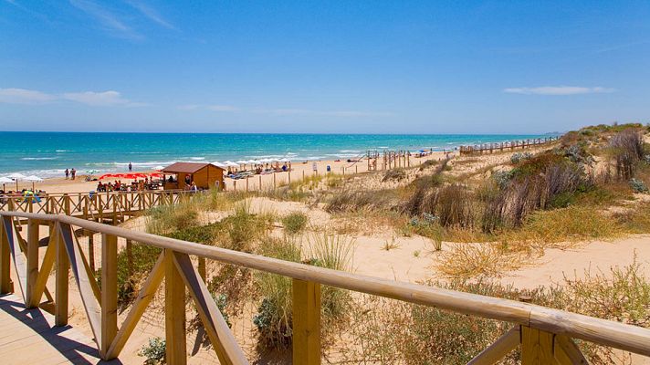 Aquí la Tierra - Guardamar, una playa virgen en la desembocadura del Segura