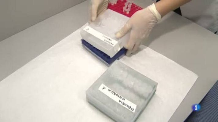 L'Informatiu - El primer banc d'ADN de familiars de desapareguts de la Guerra Civil