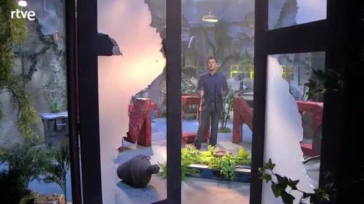 Yo, mono - Yo, mono - Presentación