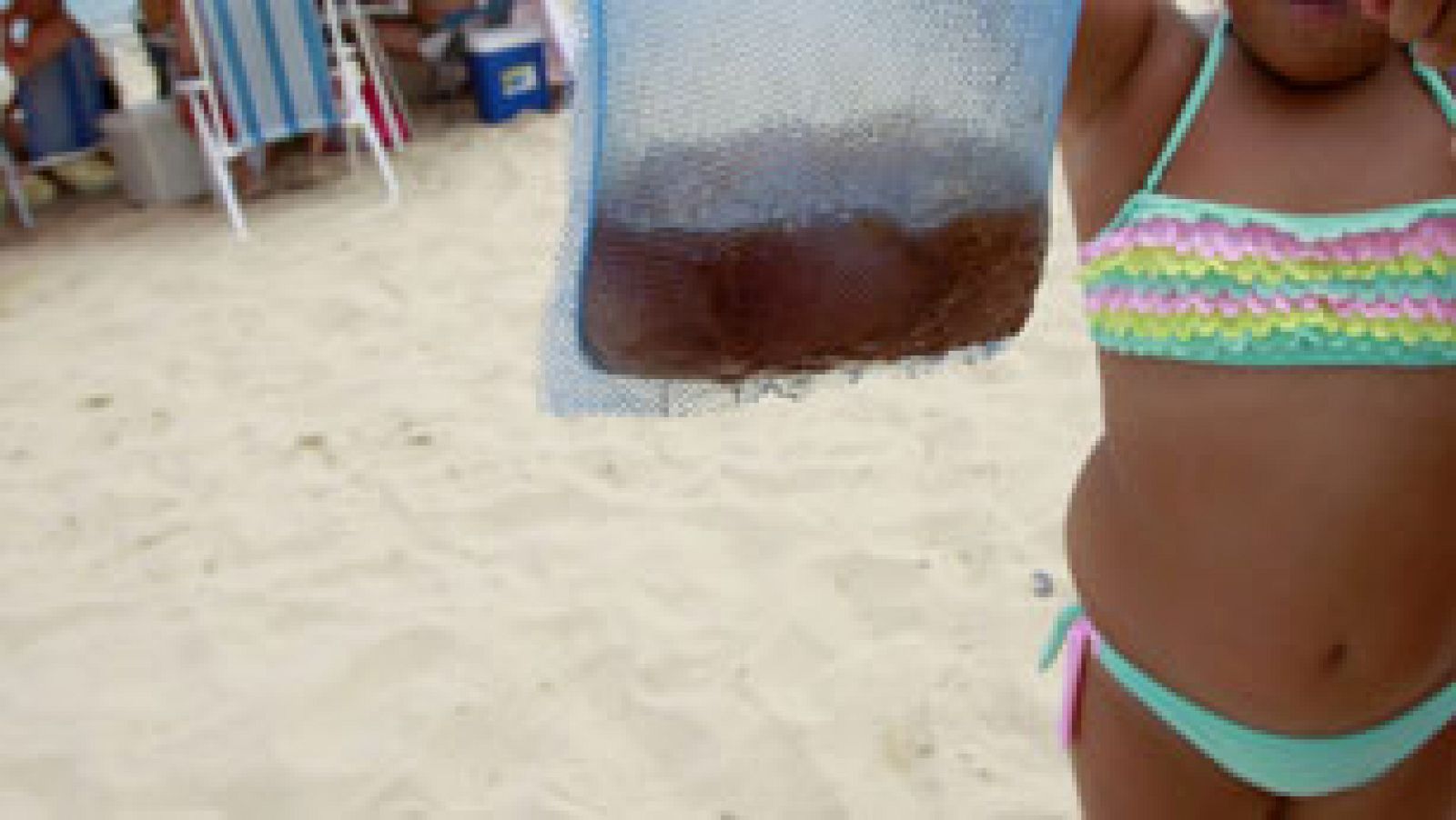 Alerta en El Saler por un banco de medusas