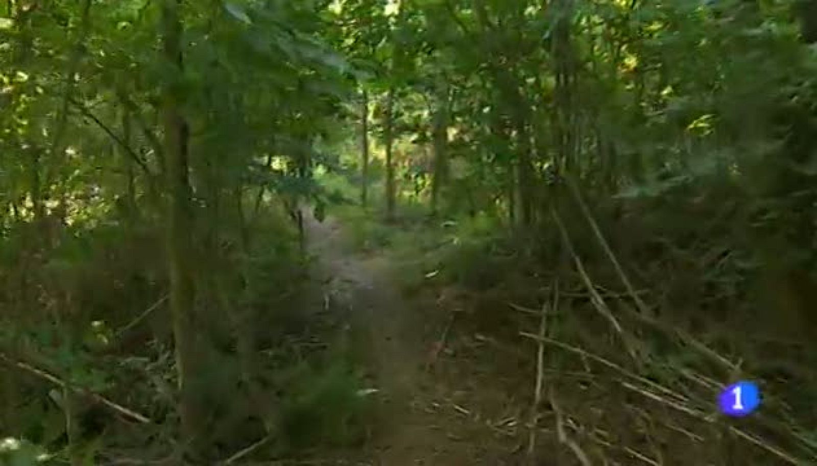 La fresquera del verano