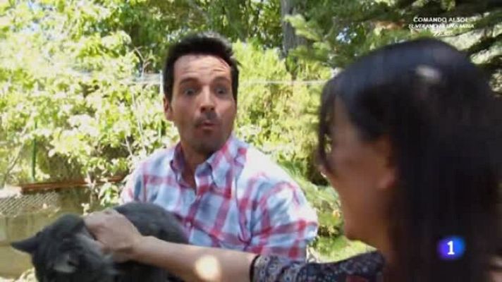 Aquí la Tierra - Bonfi, un gato gigante que puede llegar a pesar 12 kilos