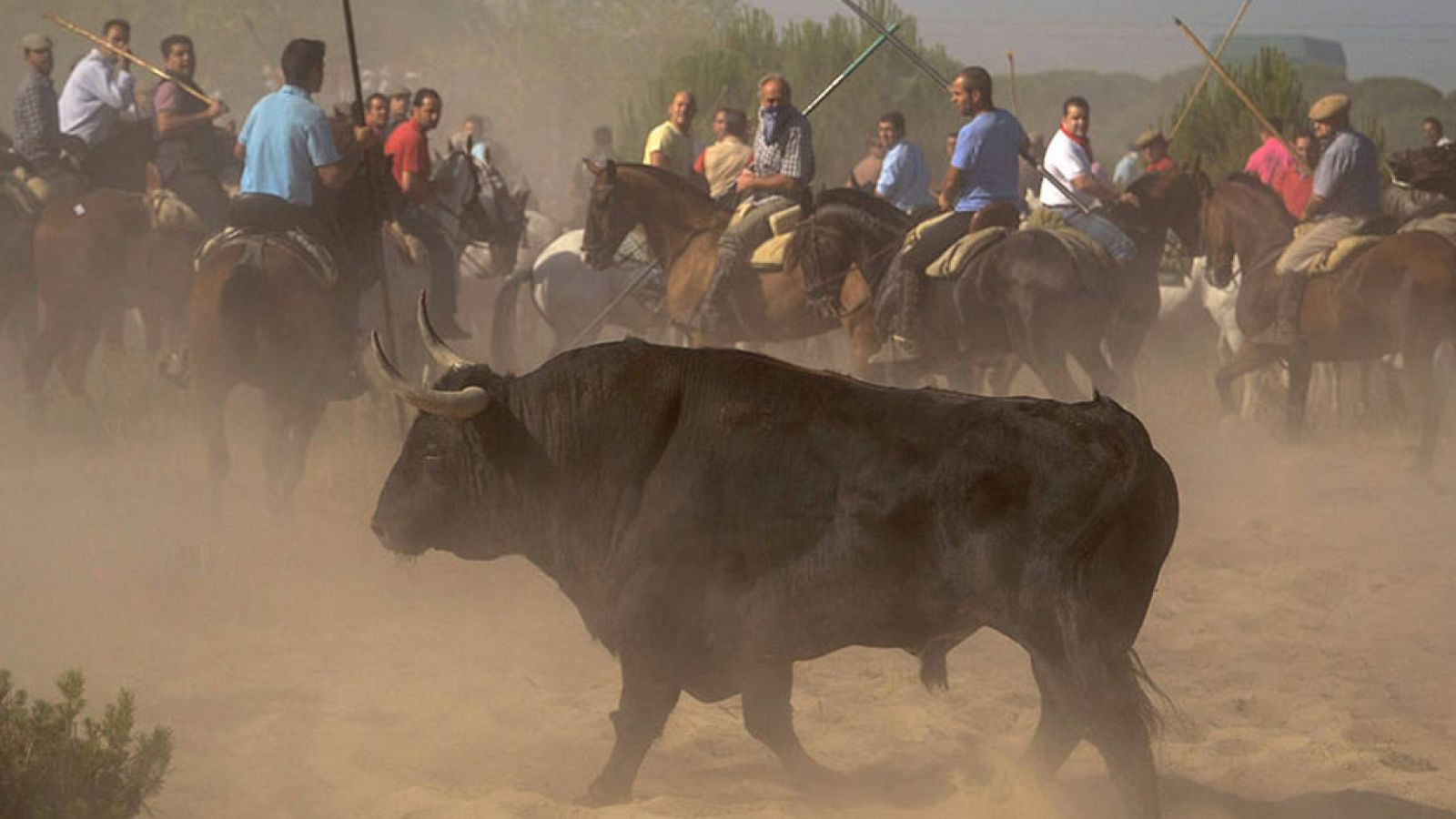 La Mañana -  Polémica fiesta del Toro de la Vega