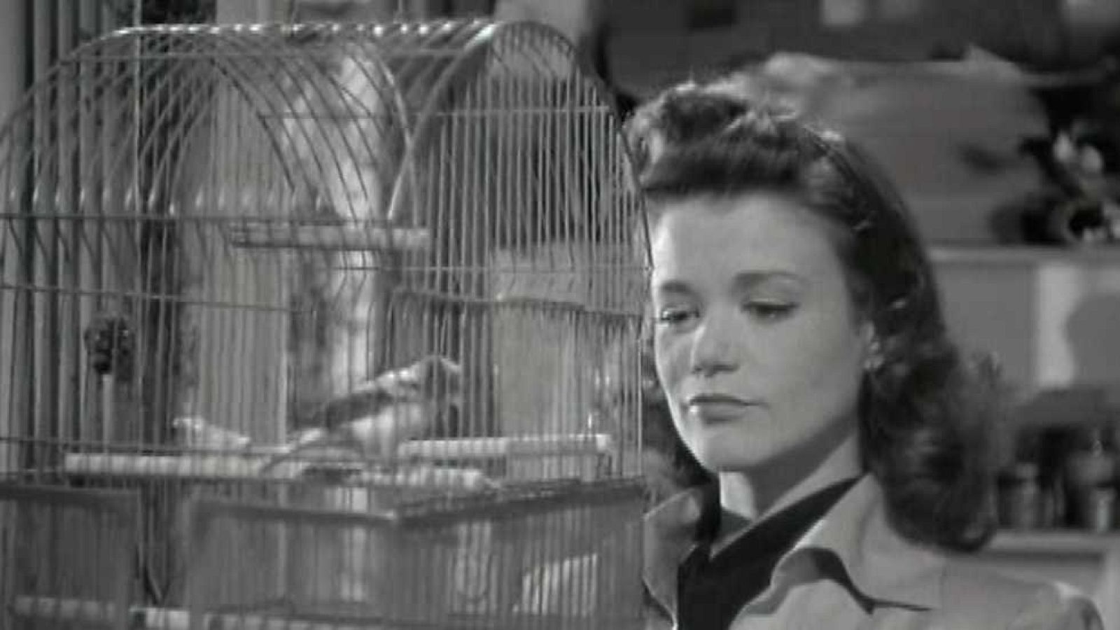 Mañanas de cine - La mujer pantera - Ver ahora