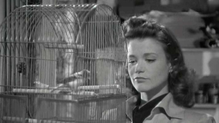 Cine internacional - La mujer pantera